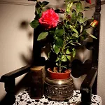 Bed & Breakfast C'era Volta
